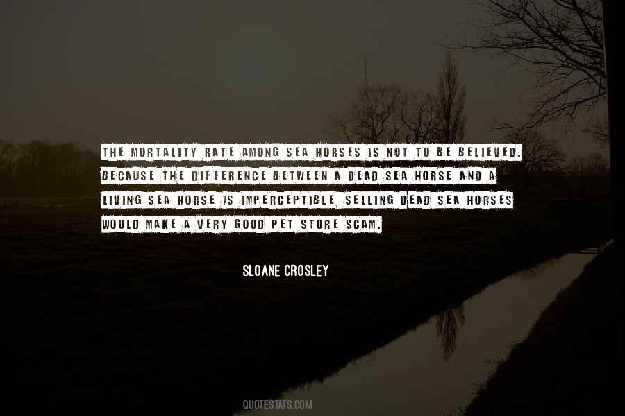 Sloane Crosley Quotes #1072224