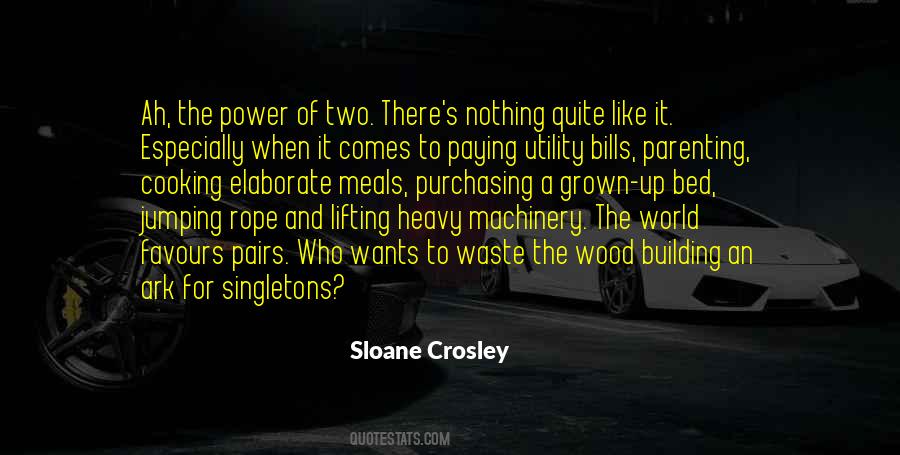 Sloane Crosley Quotes #508329