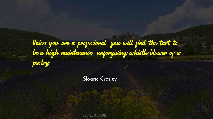 Sloane Crosley Quotes #949359