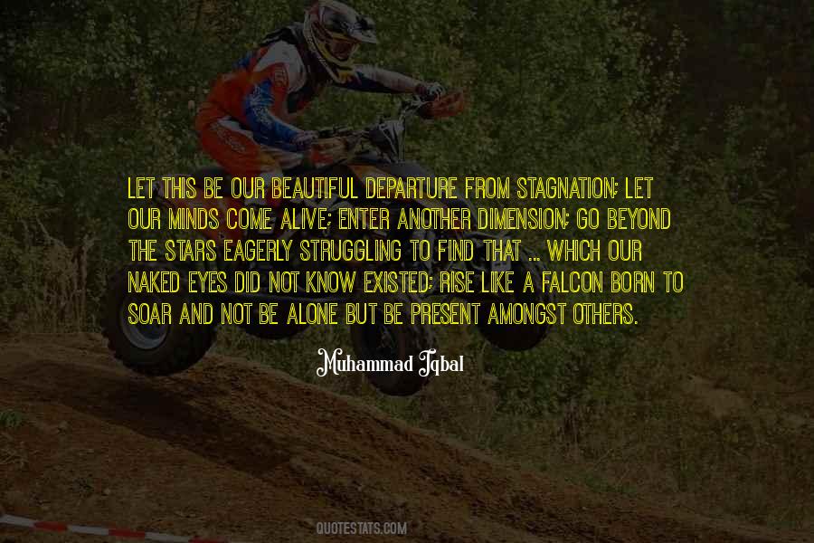 Quotes About Beautiful Minds #327729
