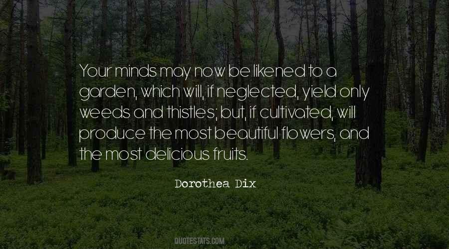 Quotes About Beautiful Minds #783460