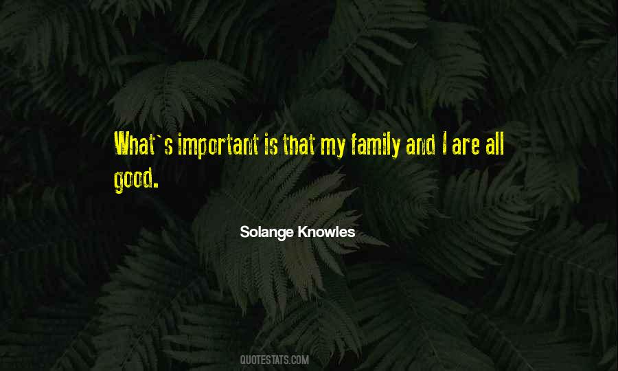 Solange Knowles Quotes #660618