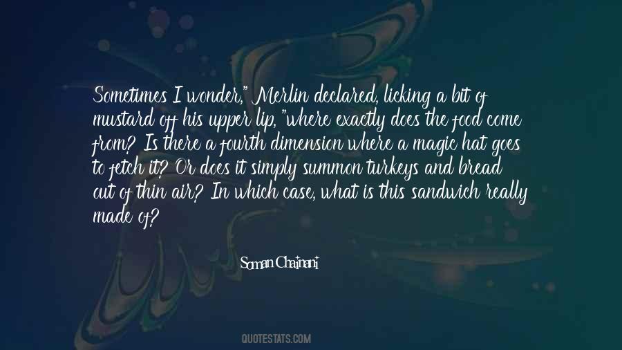 Soman Chainani Quotes #756234