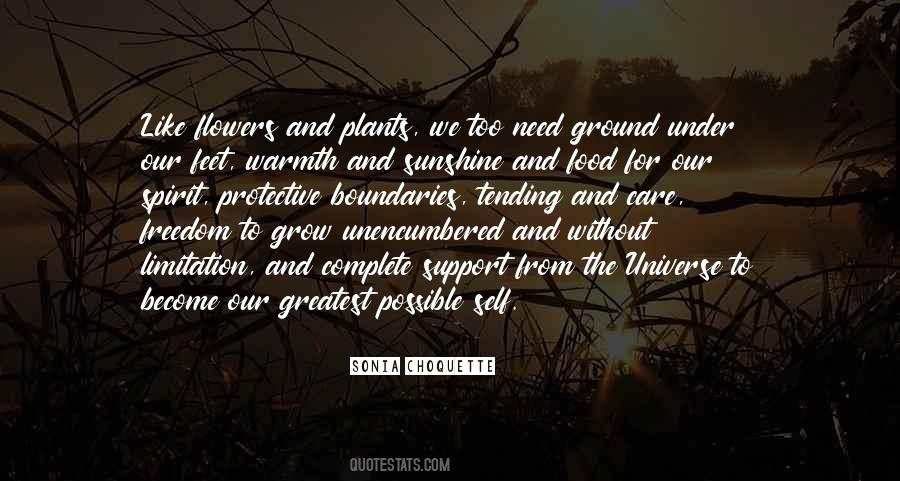 Sonia Choquette Quotes #994443