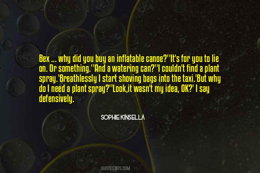 Sophie Kinsella Quotes #187615