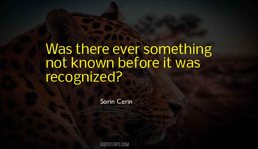 Sorin Cerin Quotes #1060210