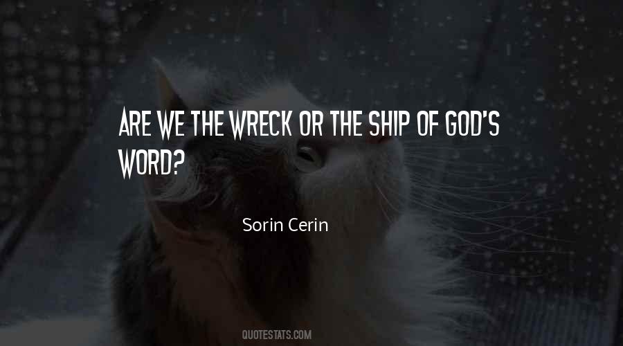 Sorin Cerin Quotes #415489