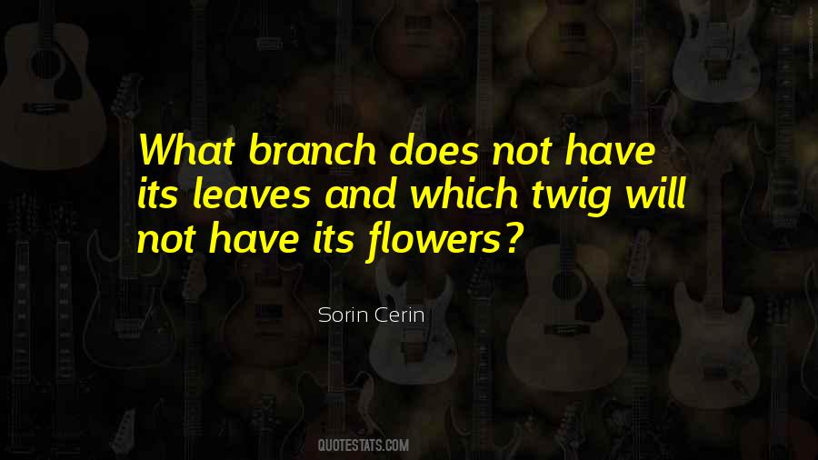 Sorin Cerin Quotes #637080
