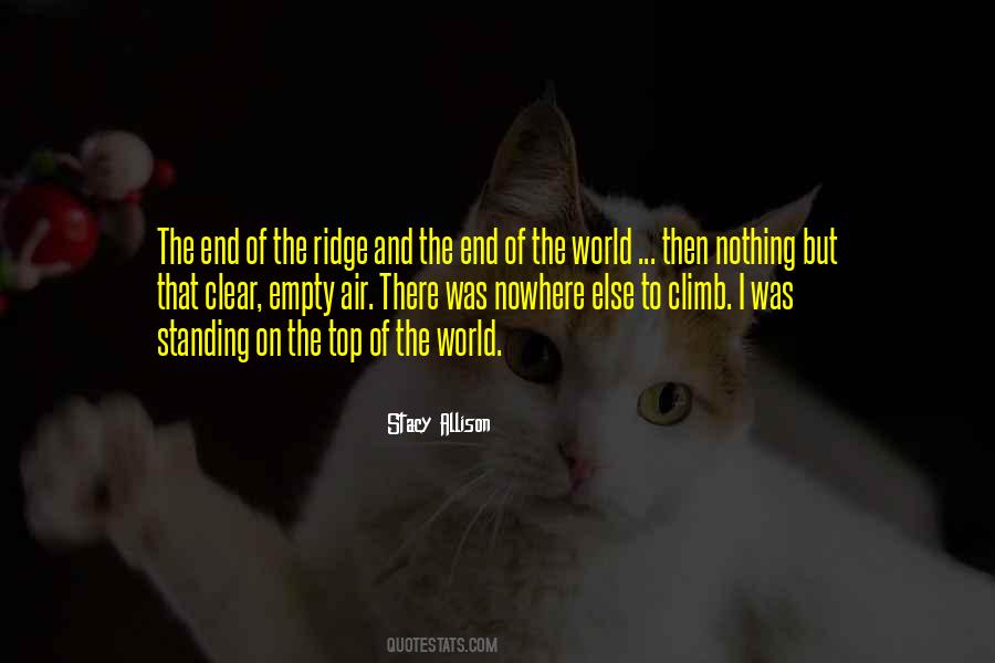 Stacy Allison Quotes #168237