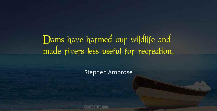 Stephen Ambrose Quotes #130676