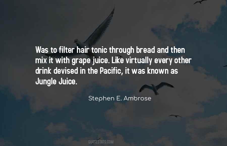 Stephen Ambrose Quotes #1436551