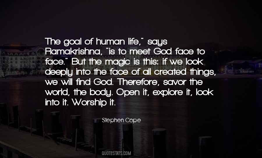 Stephen Cope Quotes #803064
