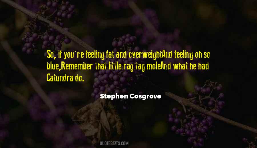 Stephen Cosgrove Quotes #1860444