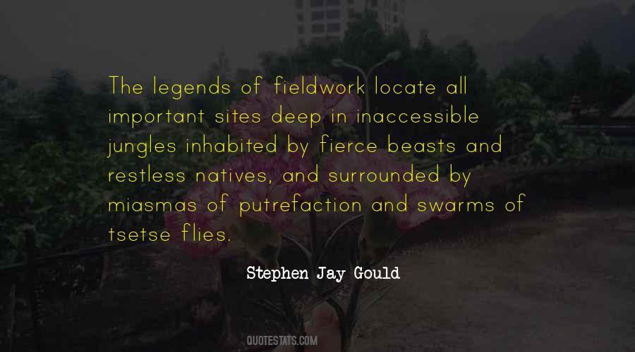 Stephen Jay Gould Quotes #442643