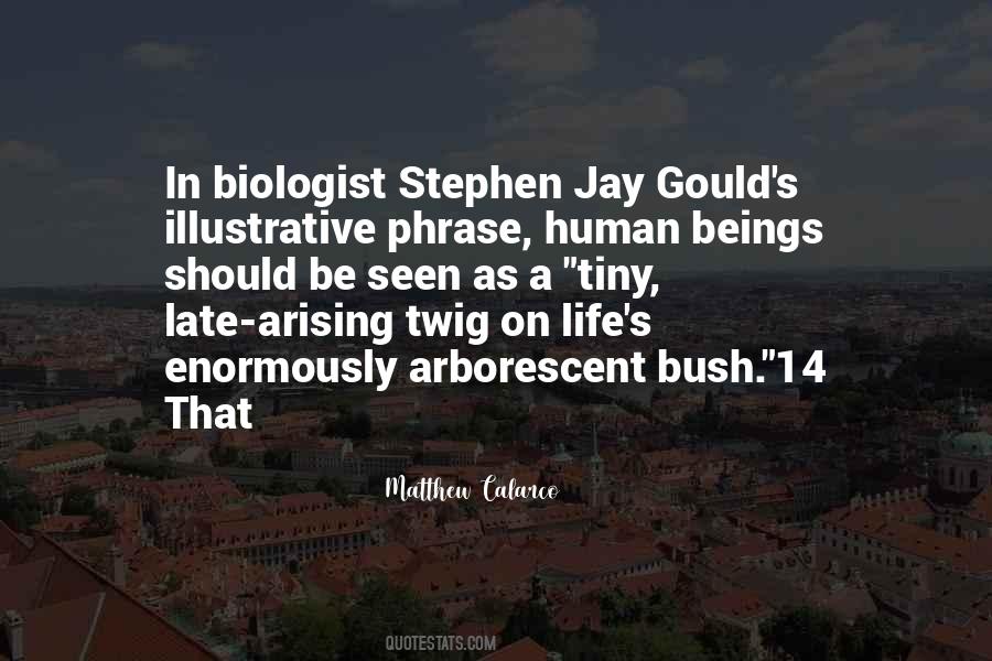 Stephen Jay Gould Quotes #722244