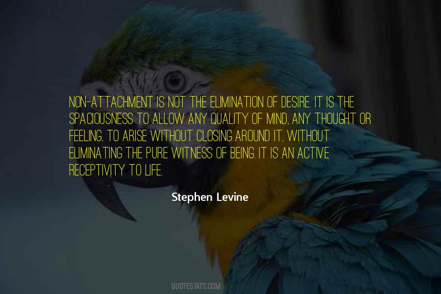 Stephen Levine Quotes #1550628