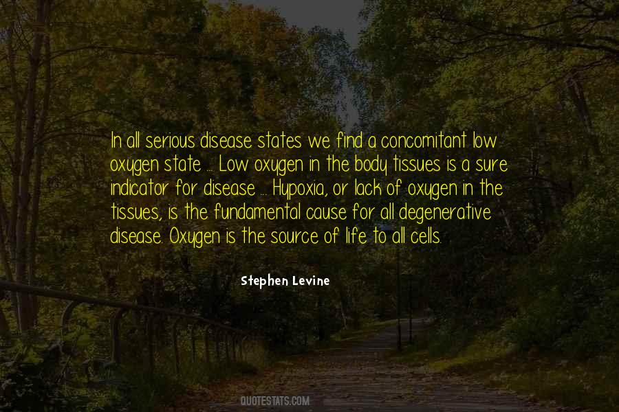 Stephen Levine Quotes #1587634