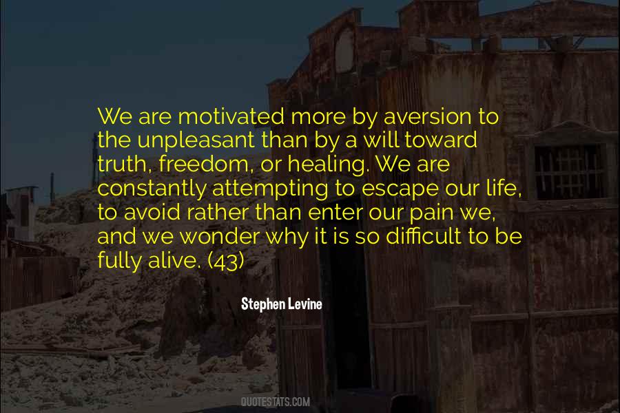 Stephen Levine Quotes #290326