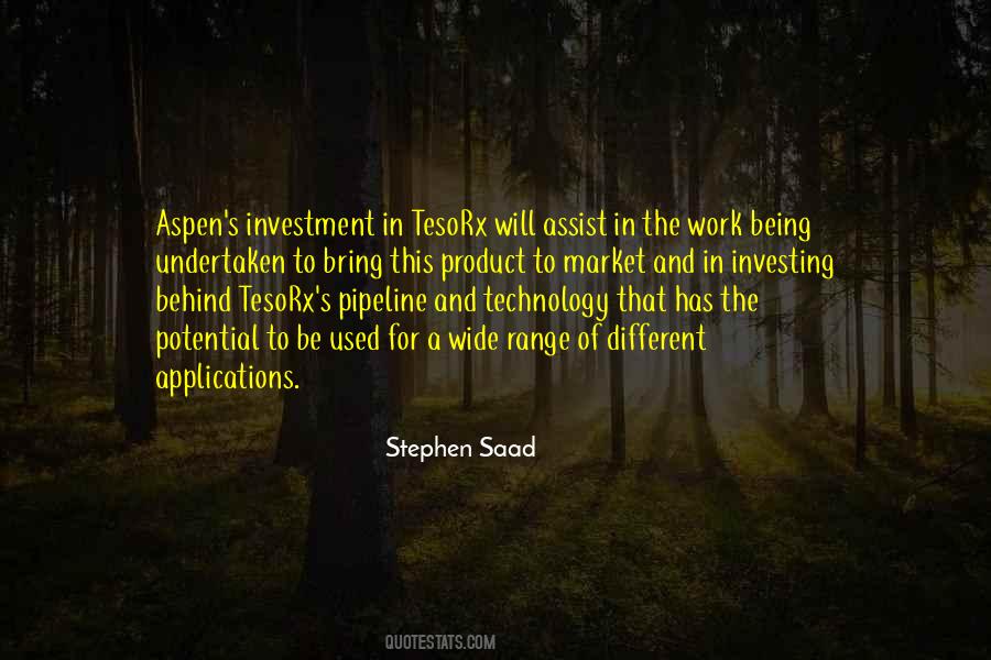 Stephen Saad Quotes #686910