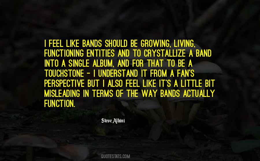 Steve Albini Quotes #427449