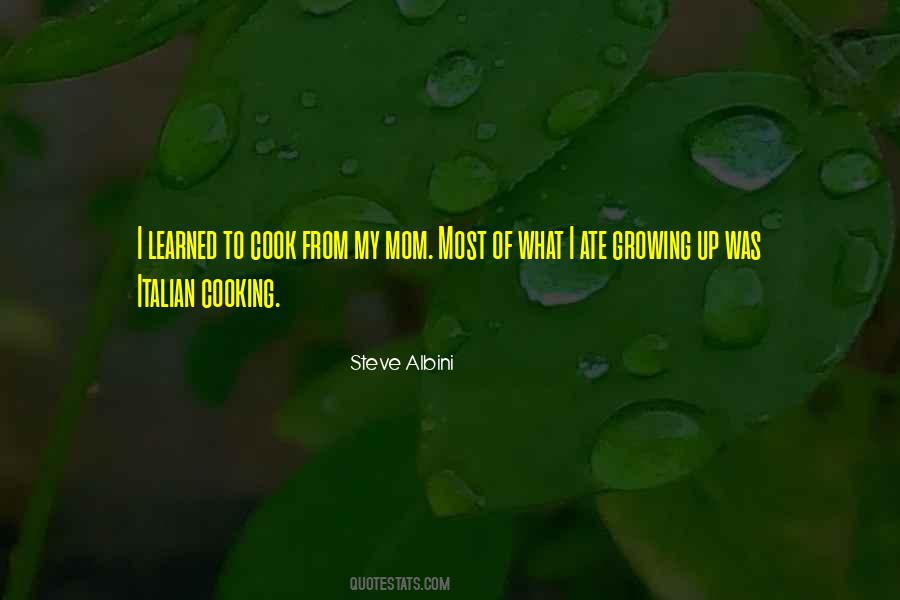 Steve Albini Quotes #543817