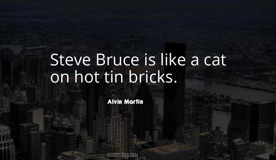 Steve Bruce Quotes #31052