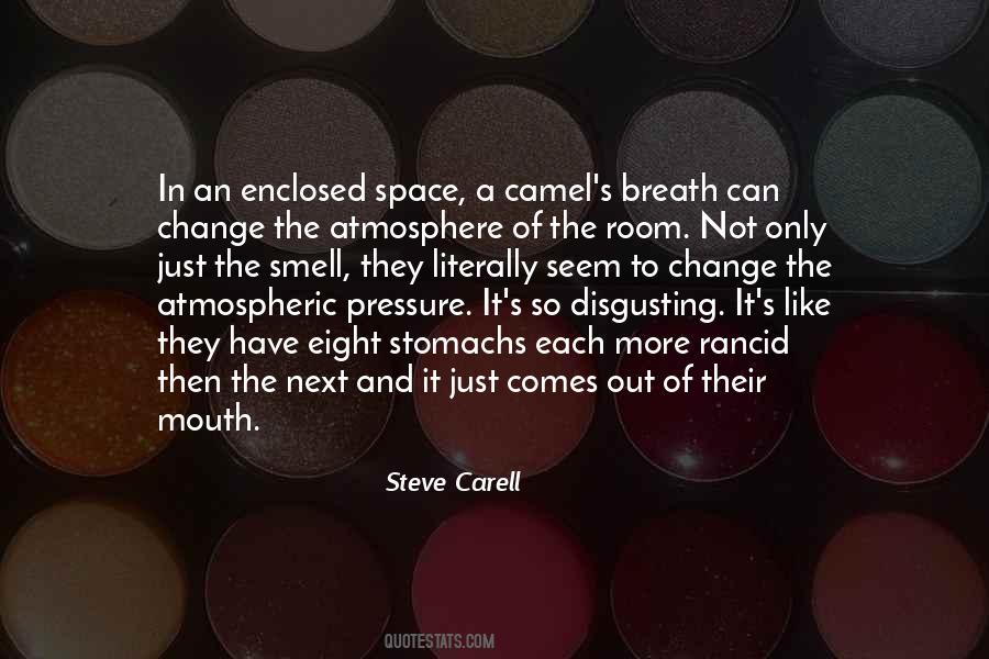 Steve Carell Quotes #1022681