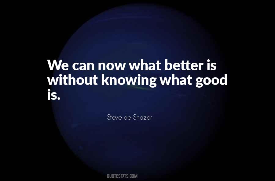 Steve De Shazer Quotes #751128