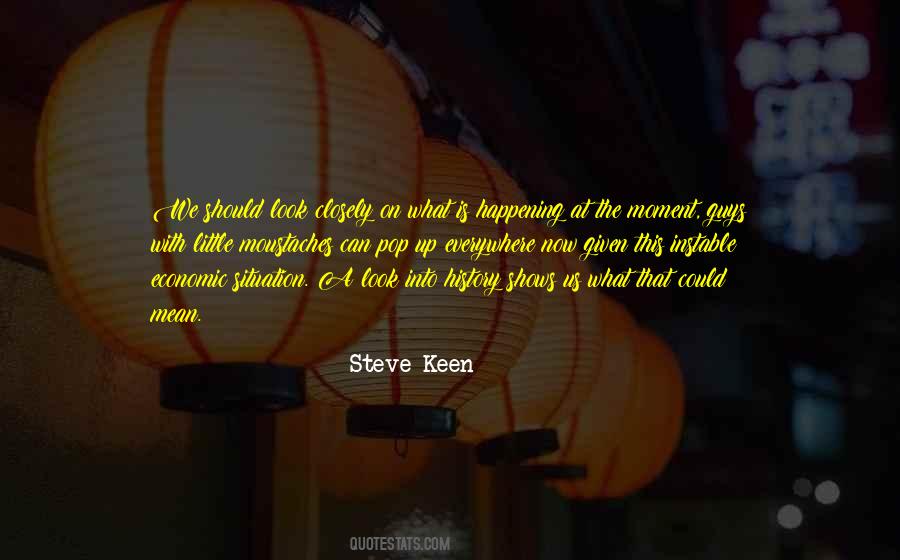 Steve Keen Quotes #1351473