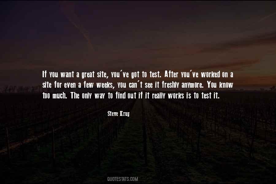 Steve Krug Quotes #533265