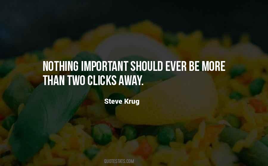 Steve Krug Quotes #979803