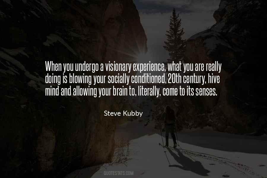 Steve Kubby Quotes #1824684