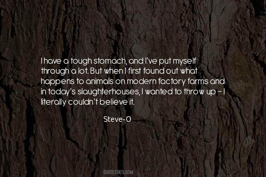 Steve O Quotes #1774503