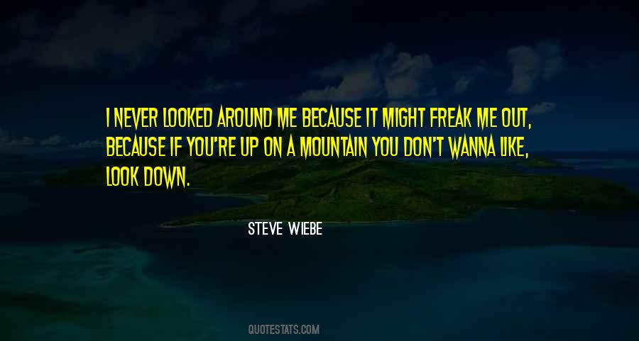 Steve Wiebe Quotes #997614
