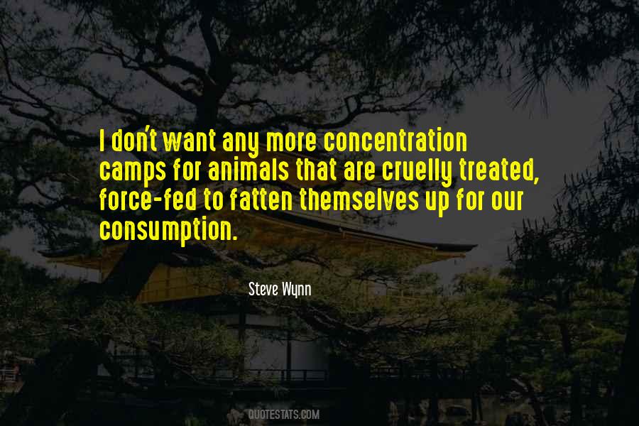 Steve Wynn Quotes #750773