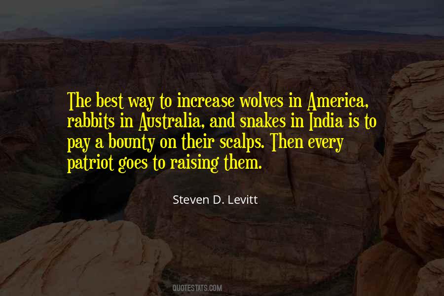 Steven Levitt Quotes #1011904