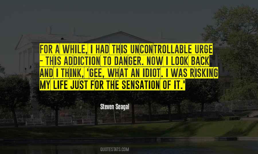 Steven Seagal Quotes #126013