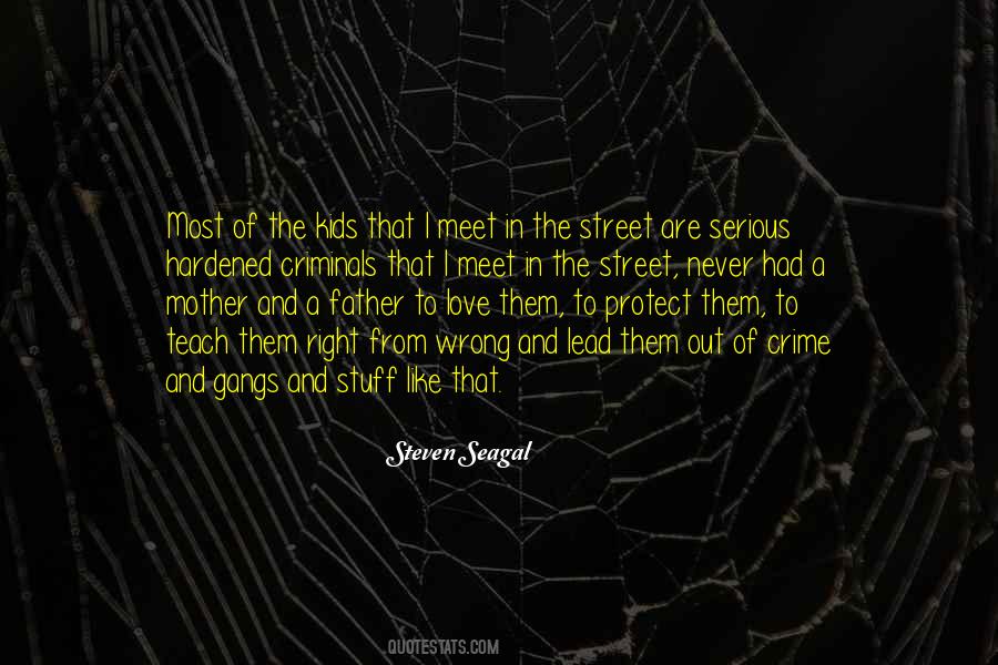 Steven Seagal Quotes #139721