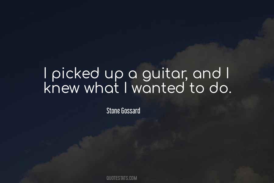 Stone Gossard Quotes #83781