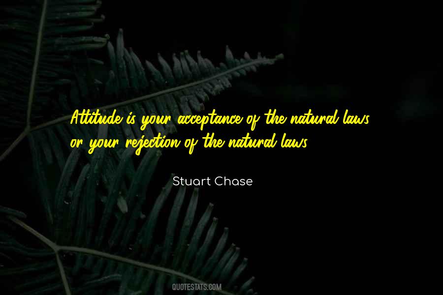 Stuart Chase Quotes #856148