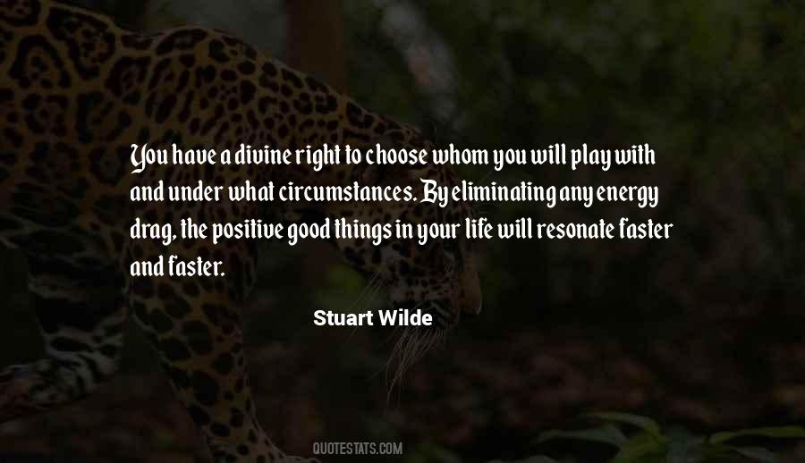 Stuart Wilde Quotes #1675820