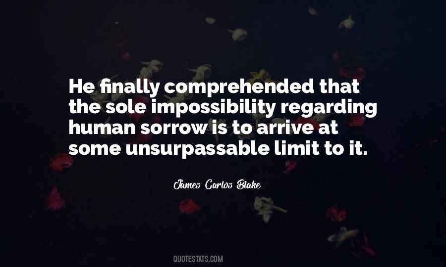 Sue Halpern Quotes #885186
