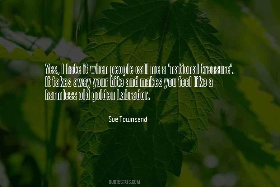 Sue Townsend Quotes #1155599