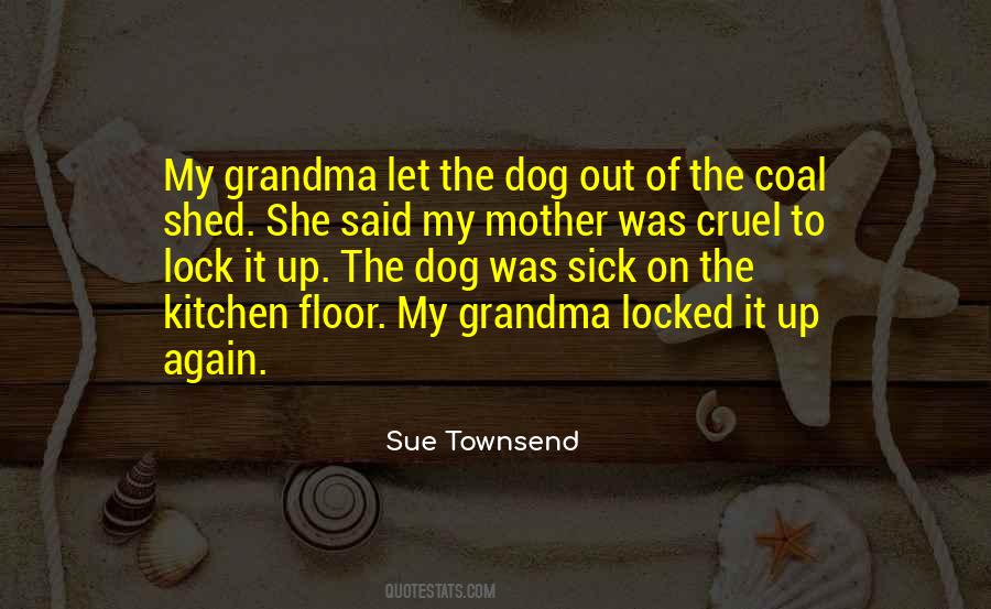 Sue Townsend Quotes #1682064