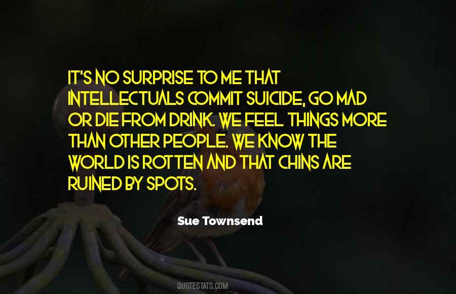 Sue Townsend Quotes #801538