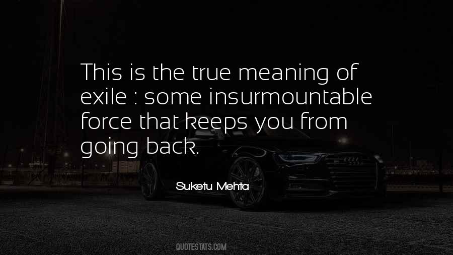Suketu Mehta Quotes #740069