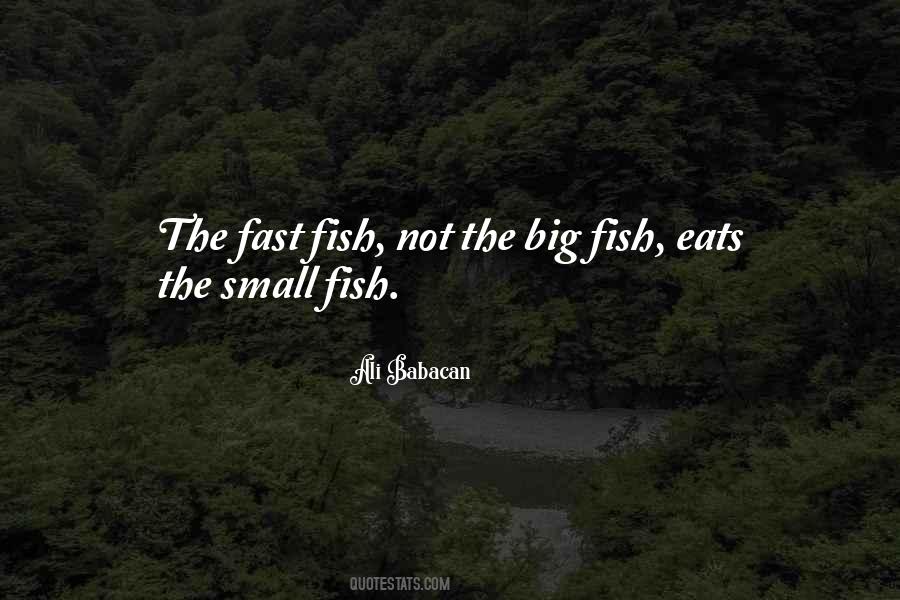 Sumantra Ghoshal Quotes #1722408