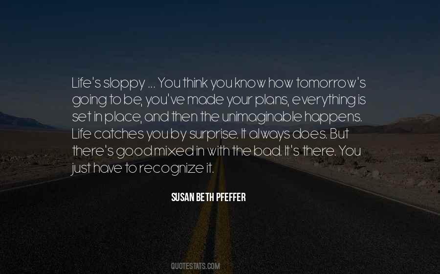 Susan Beth Pfeffer Quotes #1509011