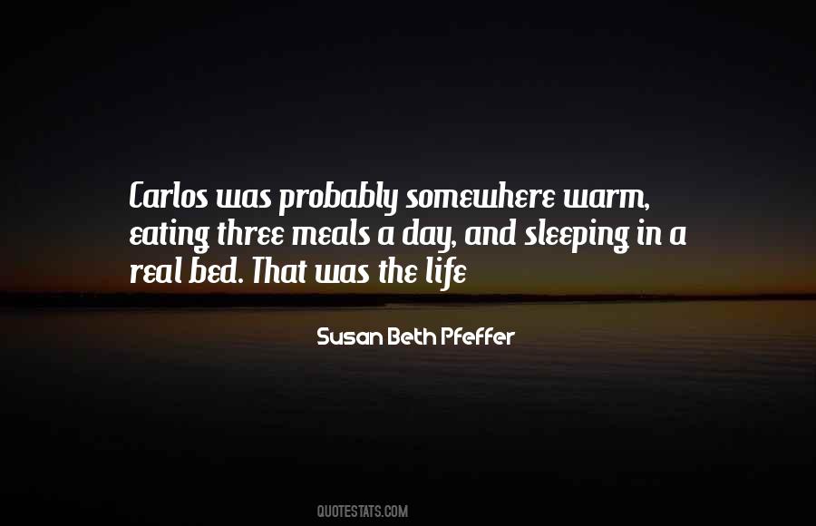 Susan Beth Pfeffer Quotes #1865271