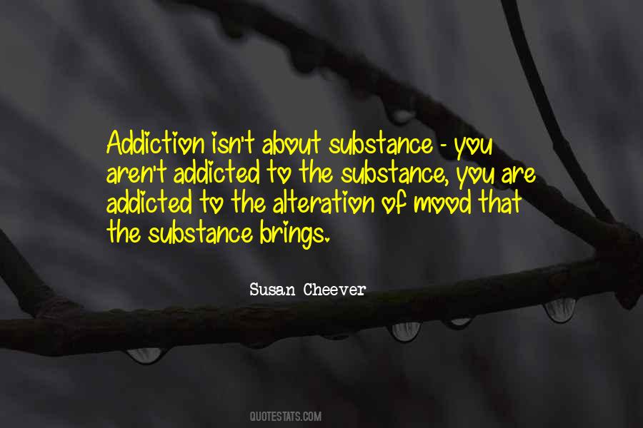 Susan Cheever Quotes #405510